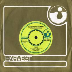 Forest : Searching for Shadows - Mirror of Life